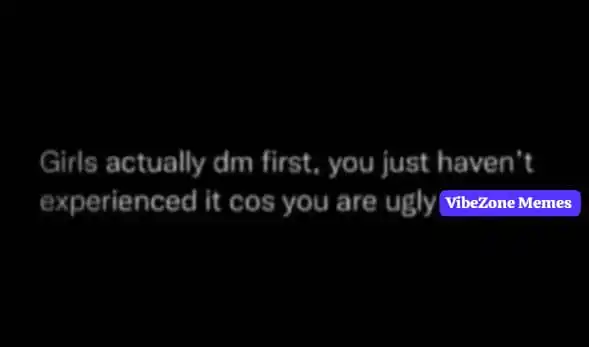 Image from VibeZone Memes 😇😎: You’re damn ugly😂💔...