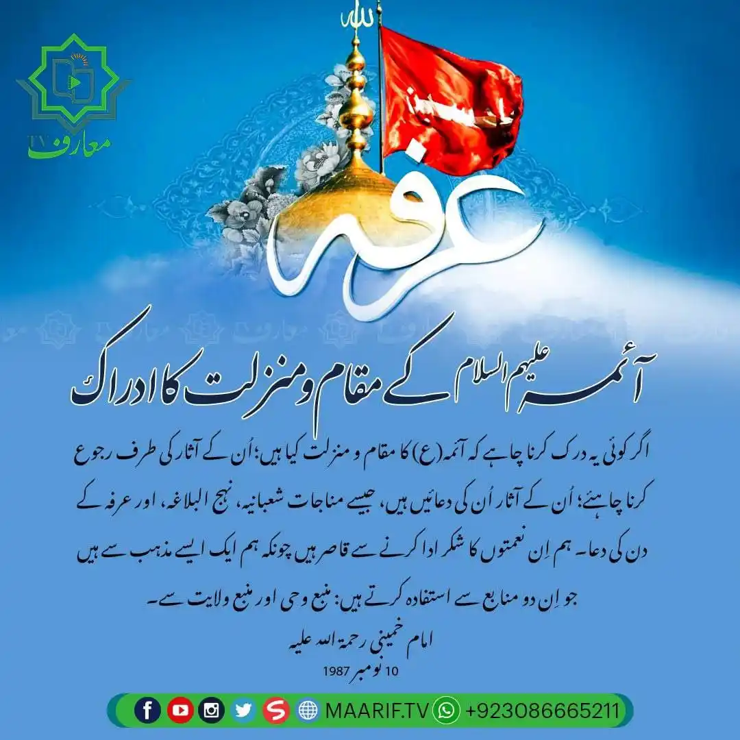Image from 📢 معارف ٹی وی • Maarif TV: 📷 *آئمہ علیہم السلام کے مقام و منزلت کا ادراک* 💭 اگر کوئی یہ درک کر...