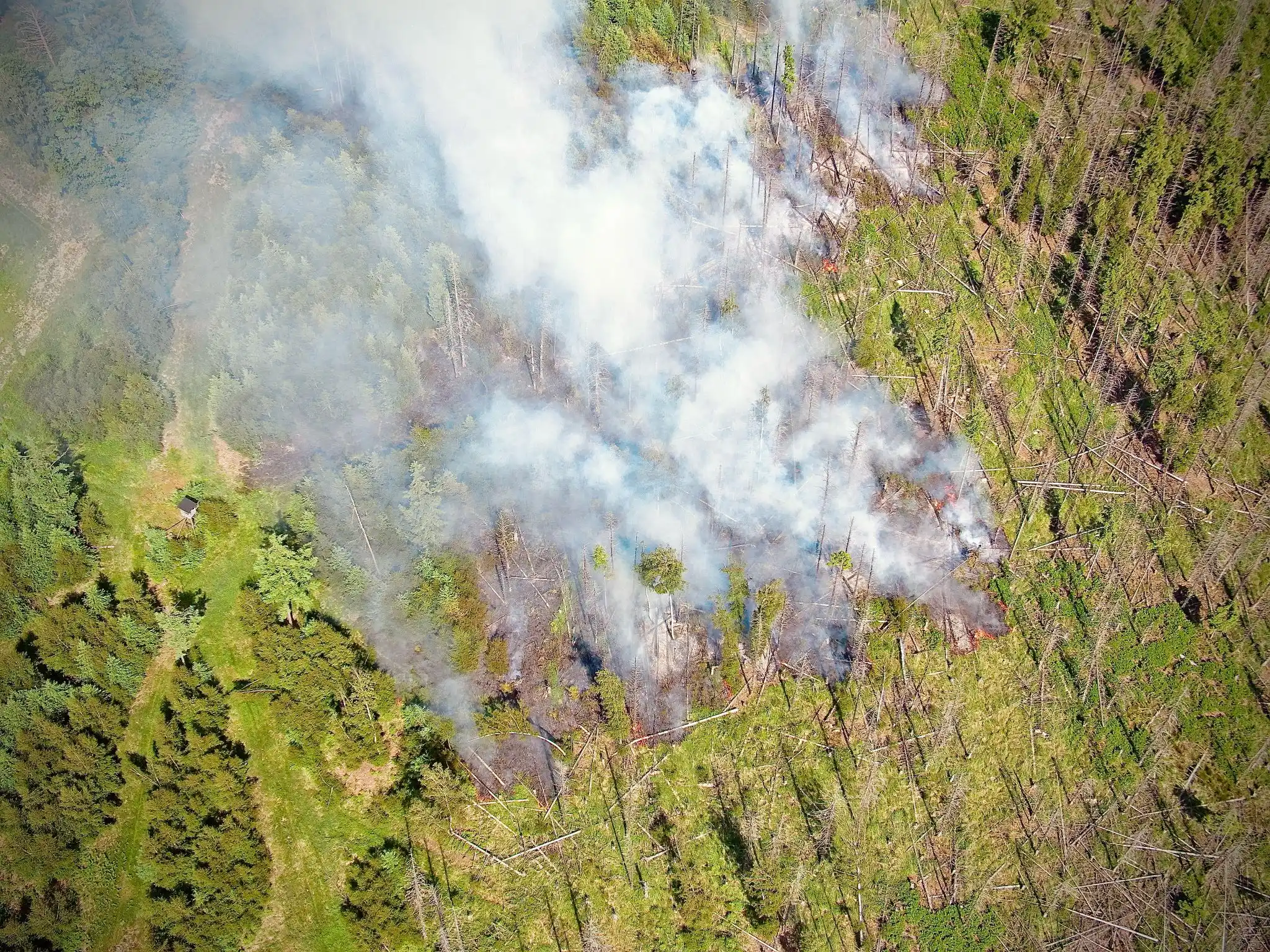 Image from Feuerwehr Stadt Soest: Derzeit brennt es im Arnsberger Wald am Möhnesee zwischen dem Möhnesee...