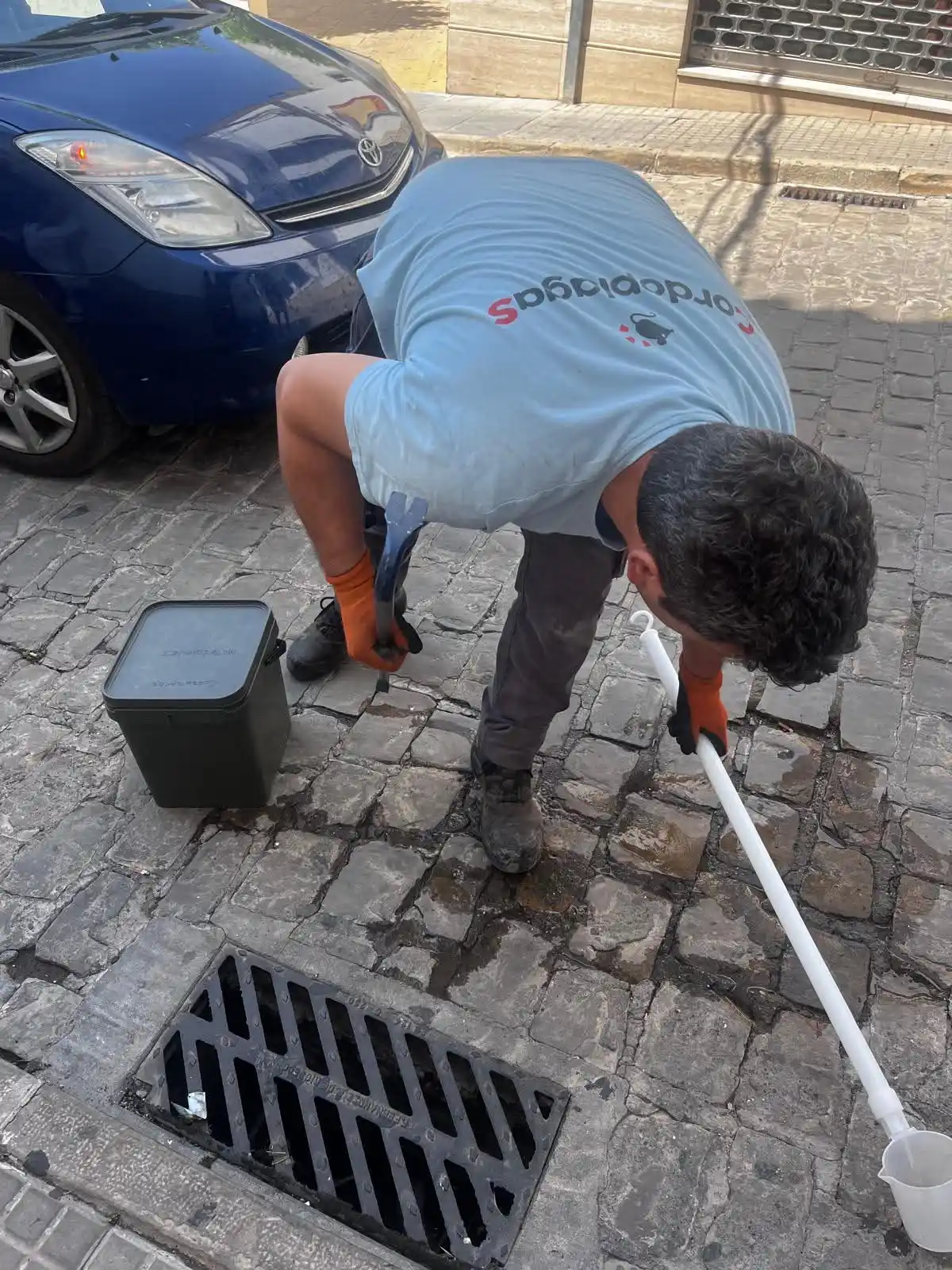 Image from Ayuntamiento de Bujalance: 🔬🦟 El Ayuntamiento de Bujalance continúa con la vigilancia y control...