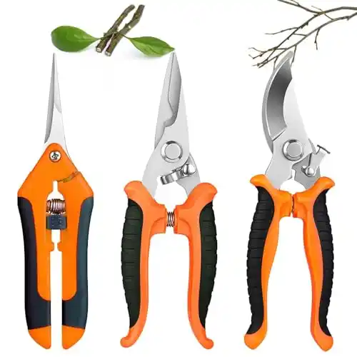 Image from Pirate Deals Angebote | Preisfehler, Schnäppchen, Rabatte & Freebies: GOMETY Gartenschere Set: 3 Stück Ergonomische Gartenscheren, Edelstahl...