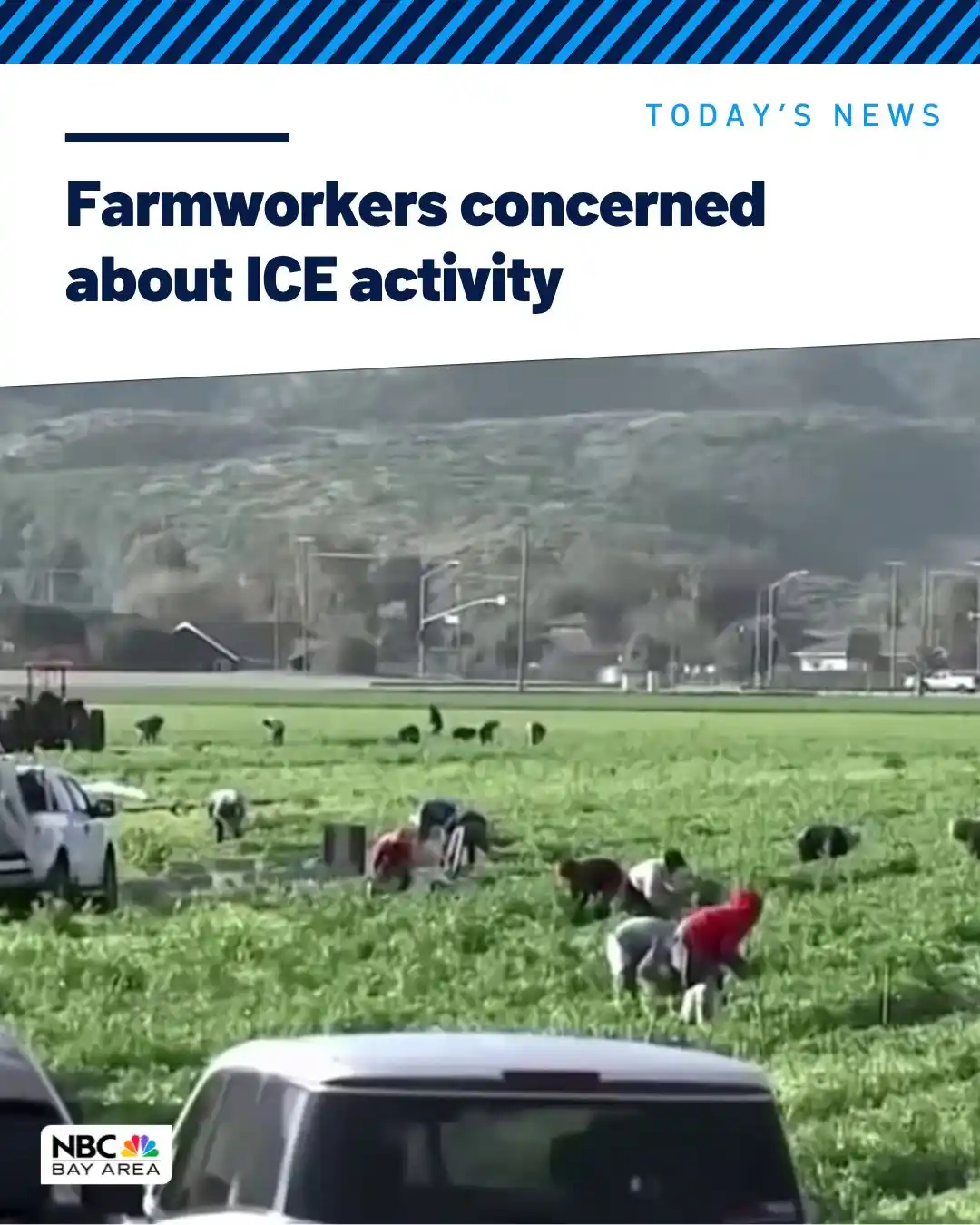Image from NBC Bay Area: Growing reports about ICE agents showing up in agricultural fields hav...