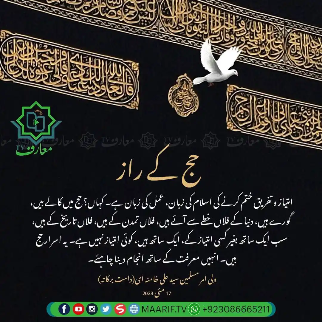 Image from 📢 معارف ٹی وی • Maarif TV: 📷 *حج کے راز* 💭 امتیاز و تفریق ختم کرنے کی اسلام کی زبان، عمل کی زب...