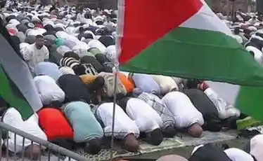 Image from Quotidiano Il Tempo: 📌 *Islam, pioggia di soldi Ue per promuoverlo negli atenei. Sardone: ...