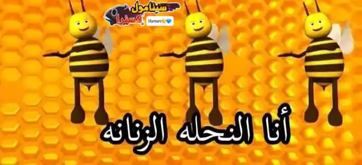 Image from سيتامول اكسترا نكت مضحكة، نكت سورية مقالب ضحك: لما حد يسألنى كيف بقتنعو من حكيك - انا🤣🌚 `صباحو`...