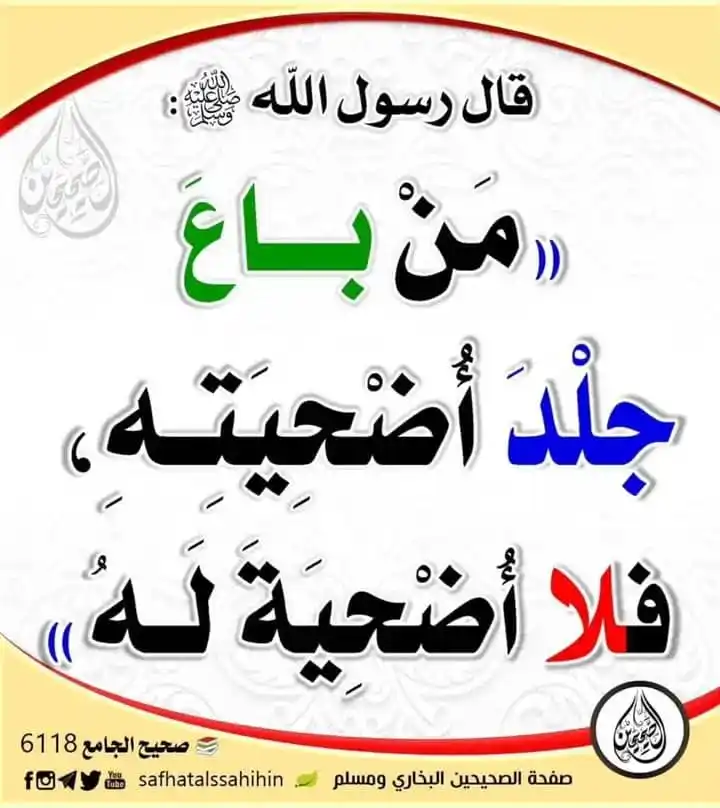 Image from قران وسنه وموعظة: من باع جلدَ أُضحيتِه فلا أُضحيةَ له الراوي : أبو هريرة | المحدث : الأ...