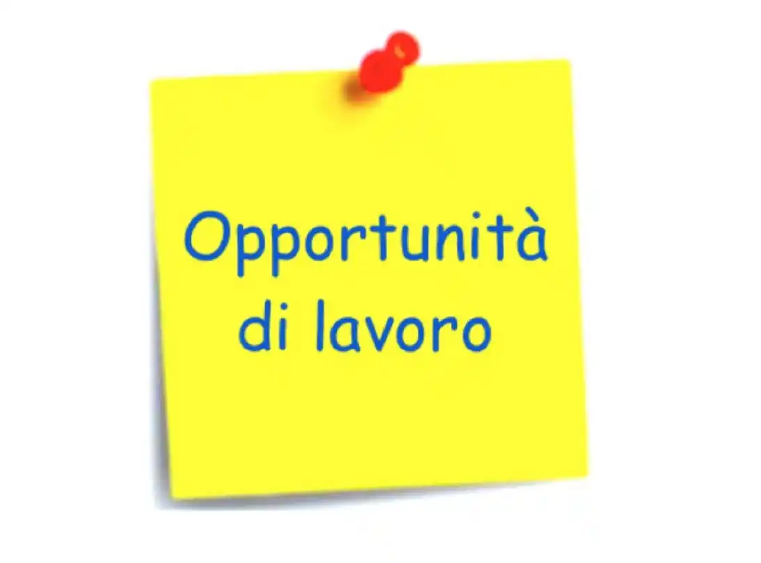 Image from Notiziario Ingegneri Napoli: 📍 OPPORTUNITA' DI LAVORO - La Paladeri, primaria azienda produttrice ...