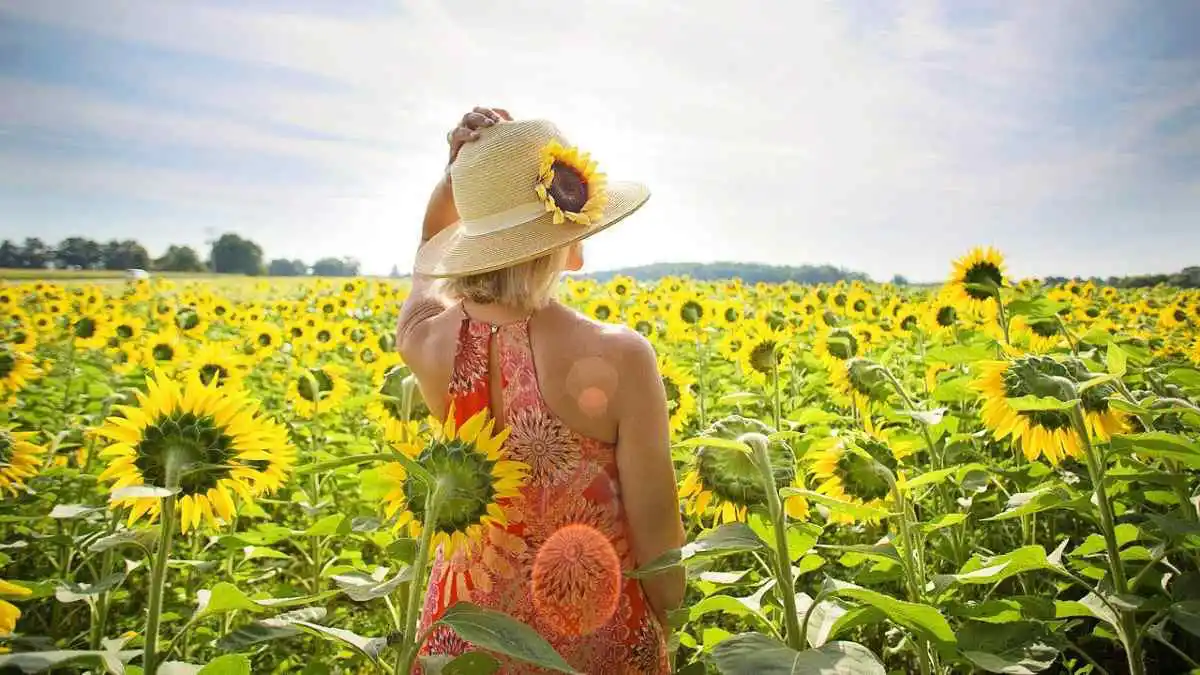 Image from Meteo.it: *Qual è la differenza tra solstizio ed equinozio?* Entrambi segnano l'...