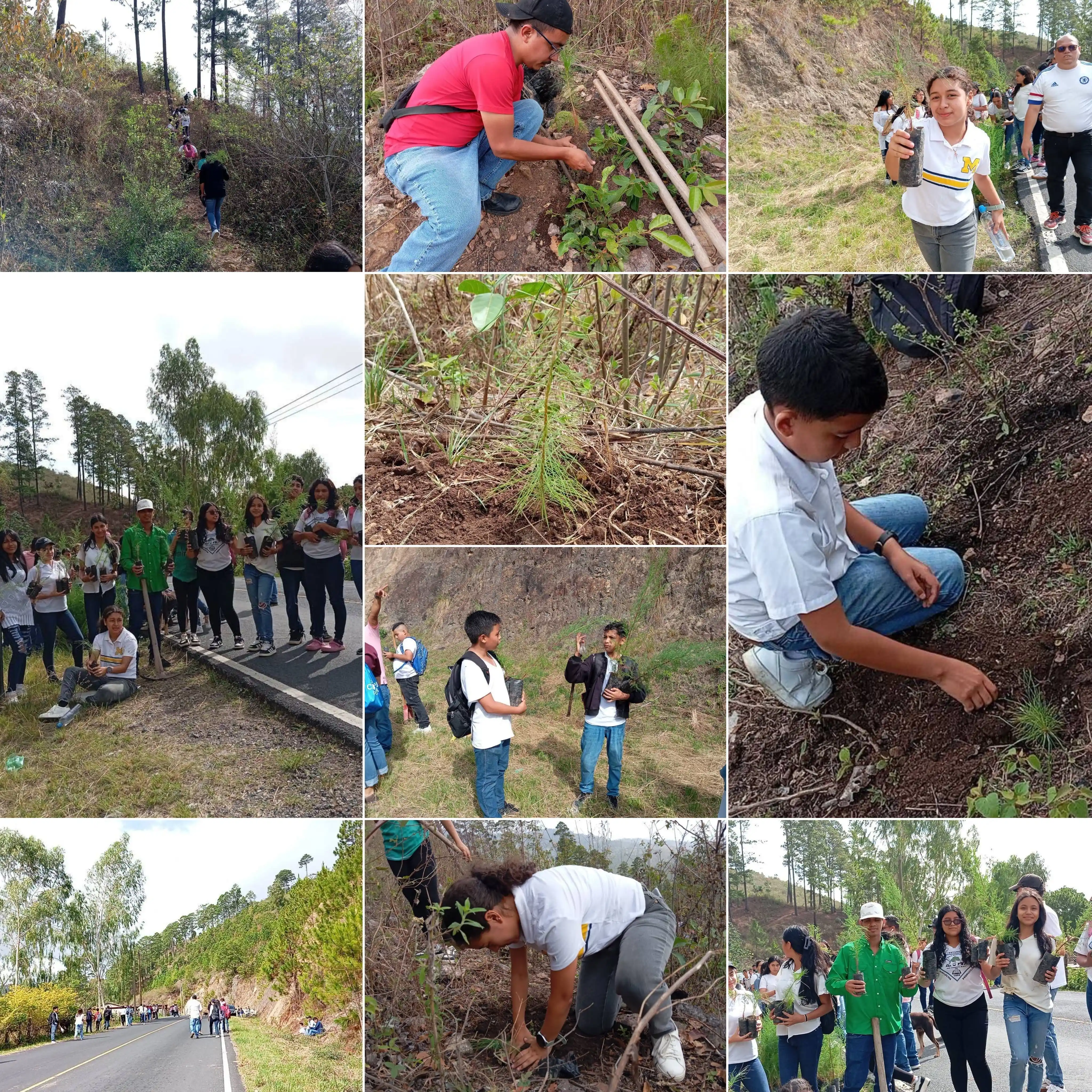 Image from La Alcaldía al Día : ¡Seguimos pintando de verde los pulmones de la capital!💚  Con un cora...