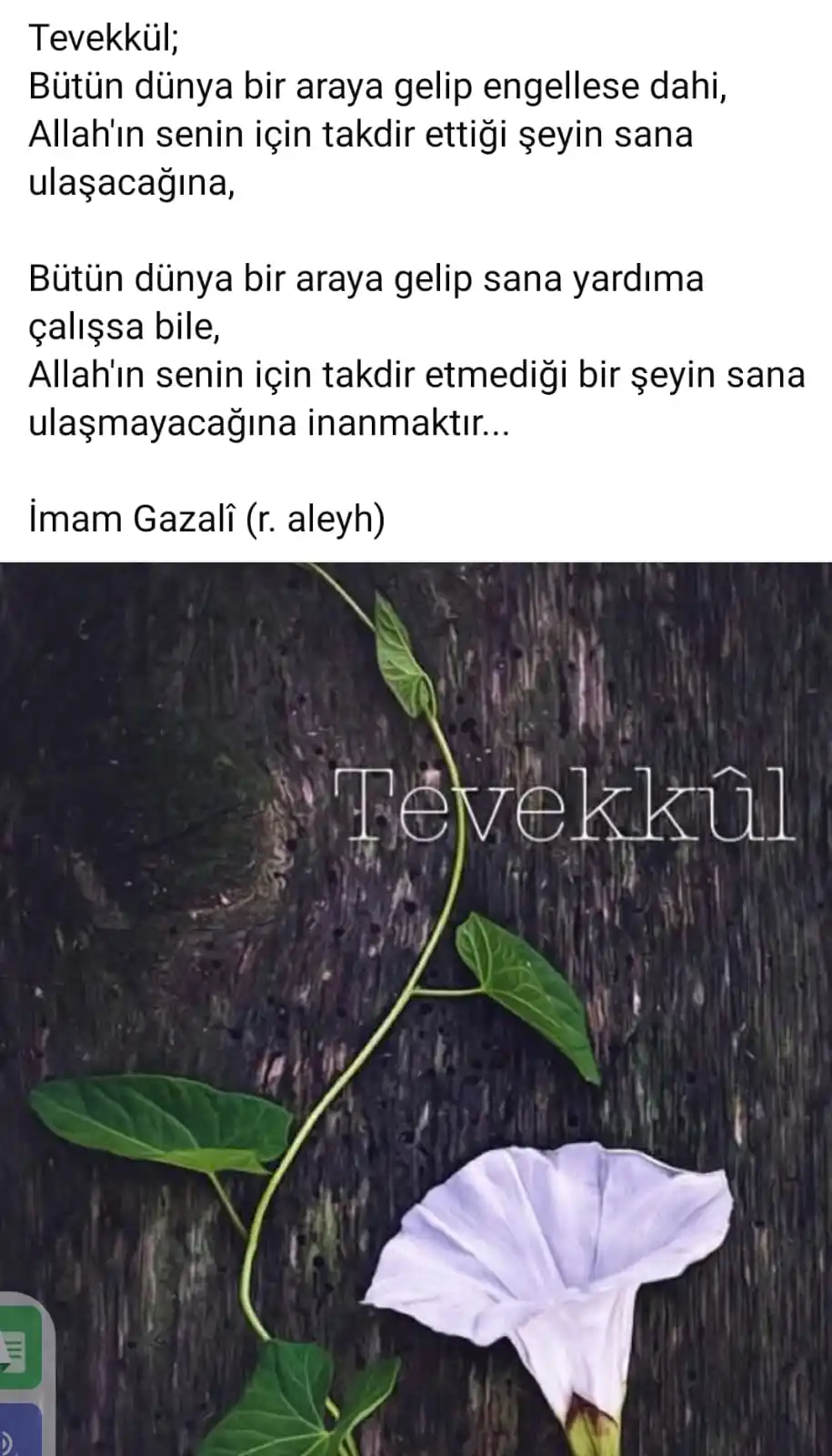 Image from Duyarlı İnsanlar İyilik Harekâtı: “Eğer siz Allah'a hakkı ile tevekkül etseniz kuşlar gibi rızıklanırdın...
