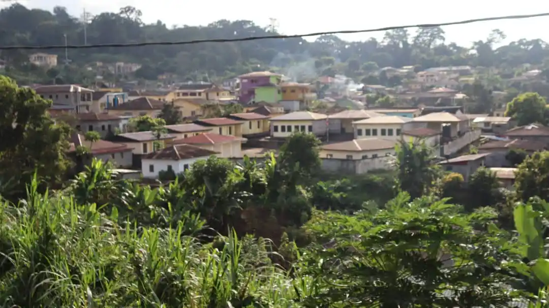 Image from 🗞️ Noticias Al Minuto 📢🕐: `🎋🌿|El Ejecutivo hereda fincas agrícolas de la era colonial y apues...