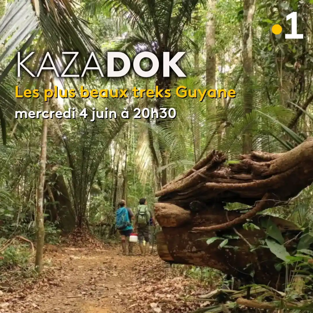 Image from Guyane La 1ère: 🟡KAZADOK vous emmène en voyage ! Dans ce numéro spécial, Marc-Phili...