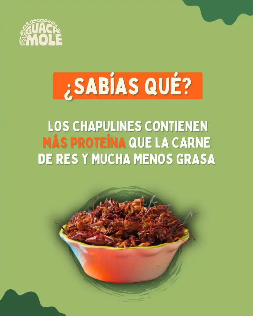 Image from Tips para el hogar: Levanten la manita a quienes les gustan los chapulines con chilito y l...