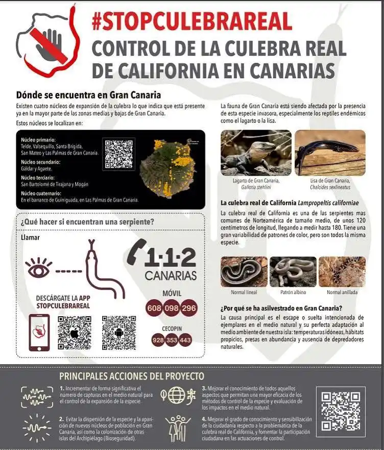 Image from Ayuntamiento de Gáldar: 📣‼️🚨Nos encontramos en pleno periodo de emergencia por la presencia ...