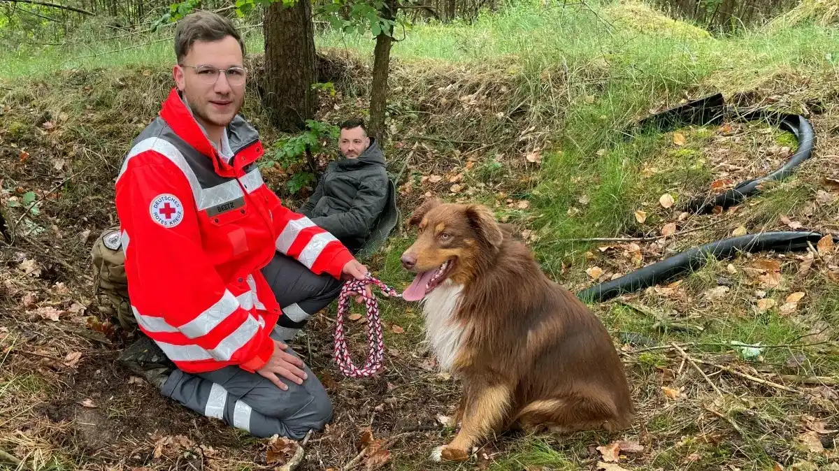 Image from MOZ.de: Und? Schon *auf den Hund gekommen* ? Wenn nicht jetzt, wann dann? 🚨...