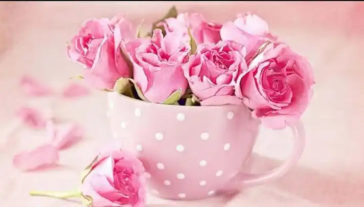 Image from اخبار واعلانات 📡اخبار متنوعة📡: *👩❤️👨اخبار متنوعة↜شوون اسرية👩❤️👨* *<a class="text-blue-500 ho...