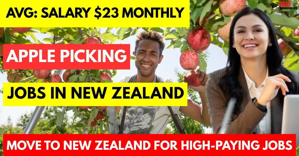 Image from Daily Jobs Update With Visa Sponsorship: Apple Picking Jobs in New Zealand for Foreigners in 2025| Salary $23 P...
