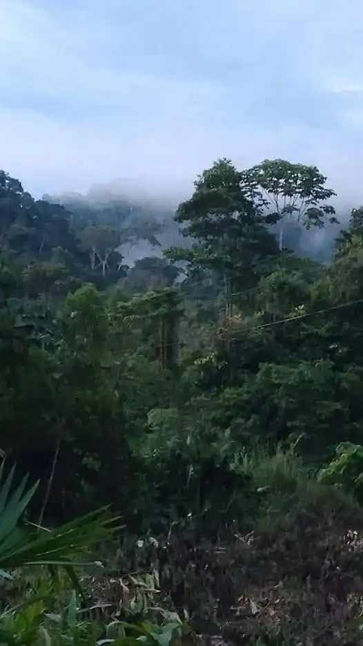 Image from Stereo Rumiñahui RTV: 🔵INCERTIDUMBRE POR CAIDA DE UN OBJETO NO IDENTIFICADO EN PASTAZA Apr...