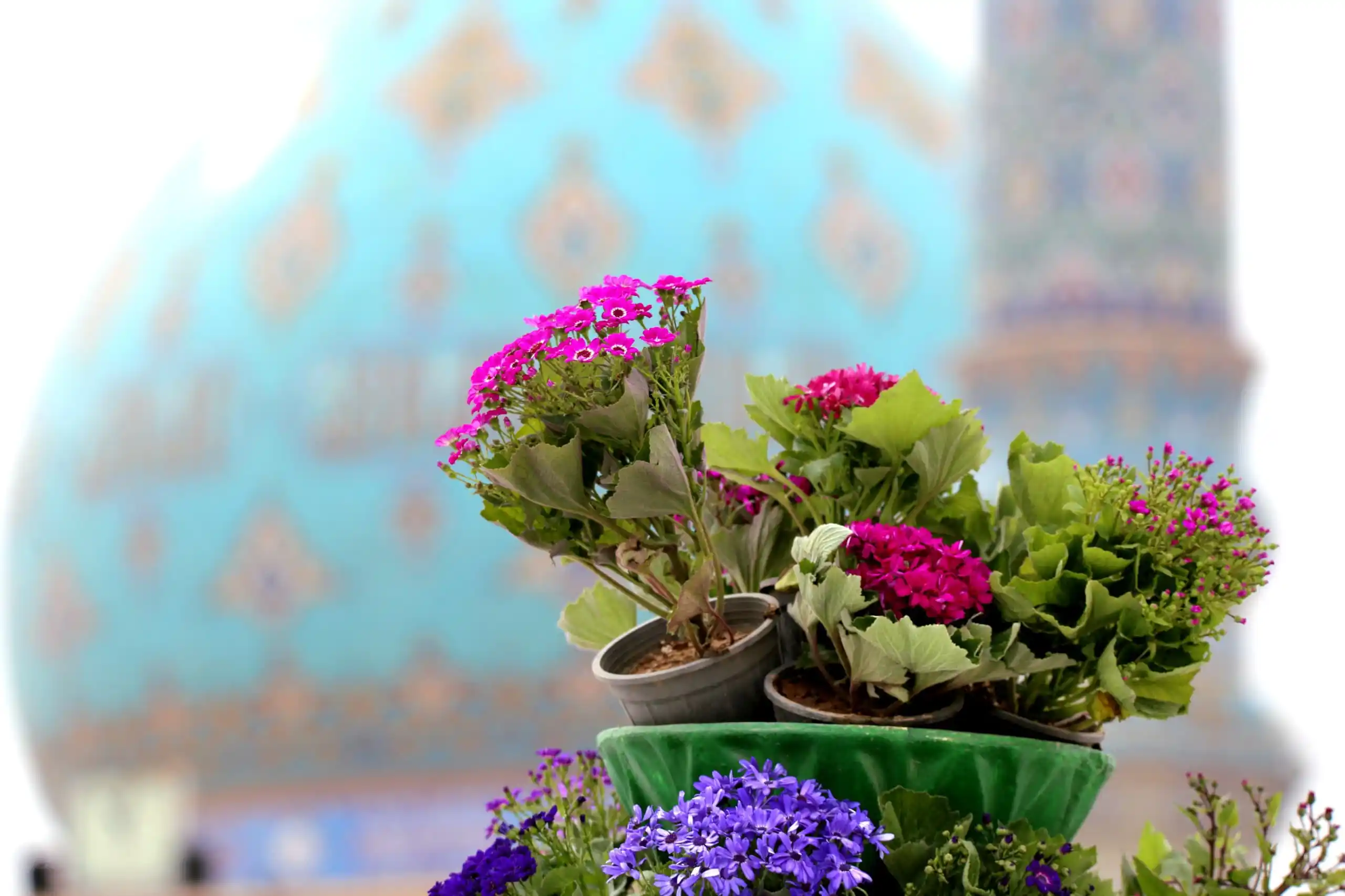Image from Haram Imam Reza As UR Official: 🤲 کہاں ہےظلم کو ختم کرنے والا أَیْنَ الْمُعَدُّ لِقَطْعِ دَابِرِ ال...