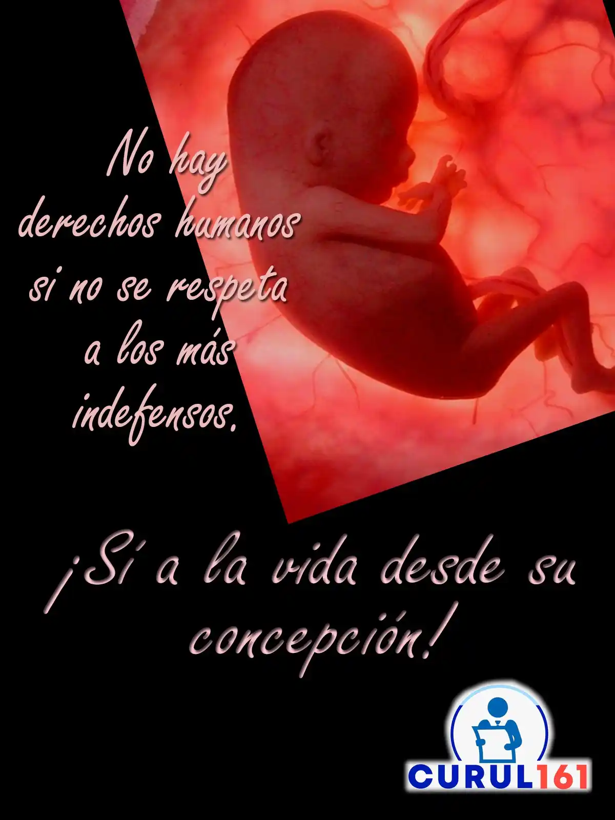 Image from Curul161: 📜👶🏻🤰🏻La Constitución garantiza el derecho a la vida desde la conc...