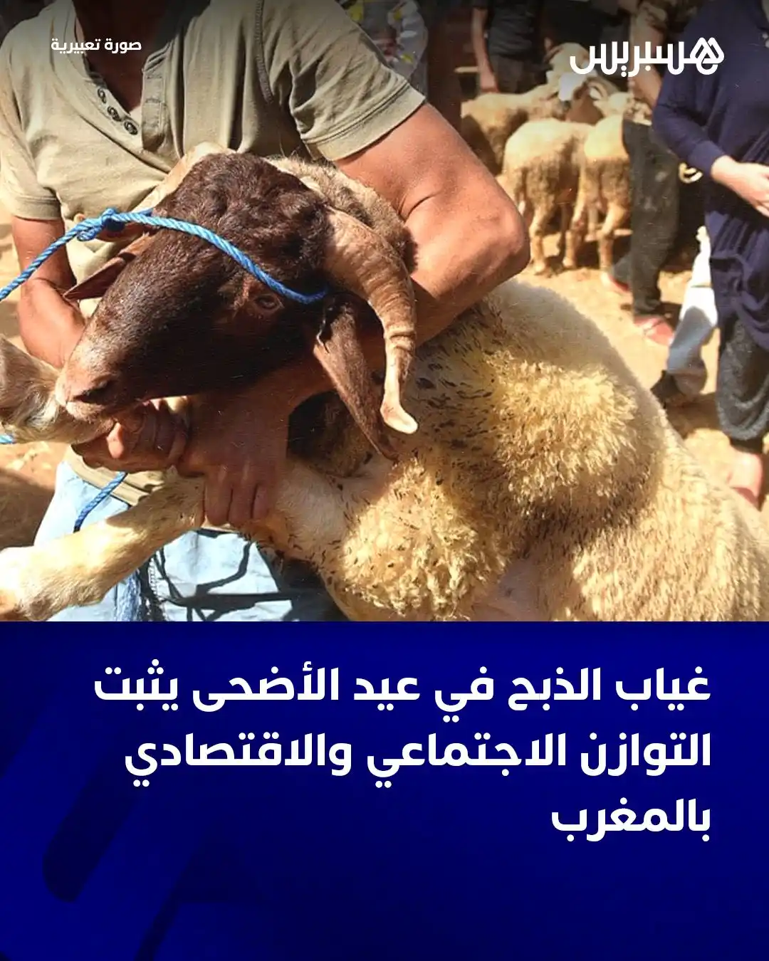 Image from Hespress - هسبريس: لقد كان من المرتقب أن تشهد أسعار الأضاحي هذه السنة ارتفاعا قياسيا نتيج...