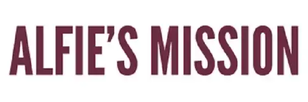 Image from Lokermu.id Loker BUMN, WFH & Luar Negeri 2025: Lowongan Kerja Remote WFH di Alfie’s Mission Posisi Asisten Manajer Pr...