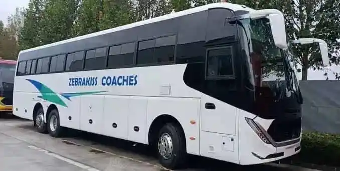 Image from ZNN News: *📰More Details Emerge Of How ZEBRA KISS Gang Of Six Bashed Passenger*...