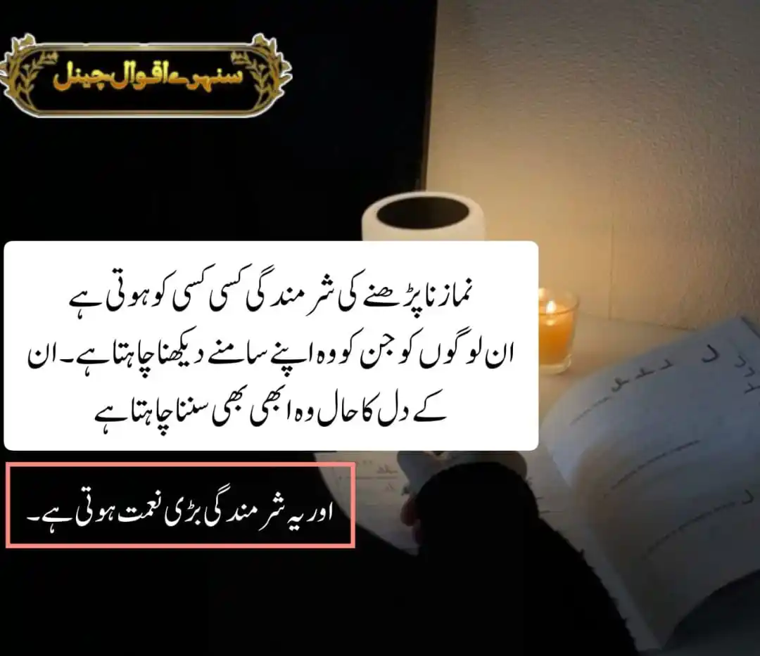 Image from 💫 سنہـــــرے اقـوال چینــل 💫: _*نماز چھوٹ جانے کی شرمندگی،*_ _دل کی بیداری کی پہلی سیڑھی ہے۔ یہیں س...