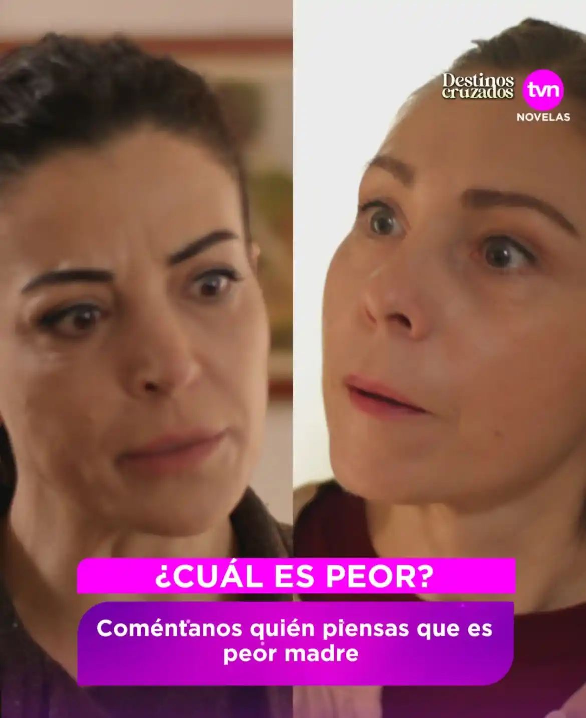 Image from TVN PANAMÁ: 📺 <a class="text-blue-500 hover:underline cursor-pointer" href="/hash...