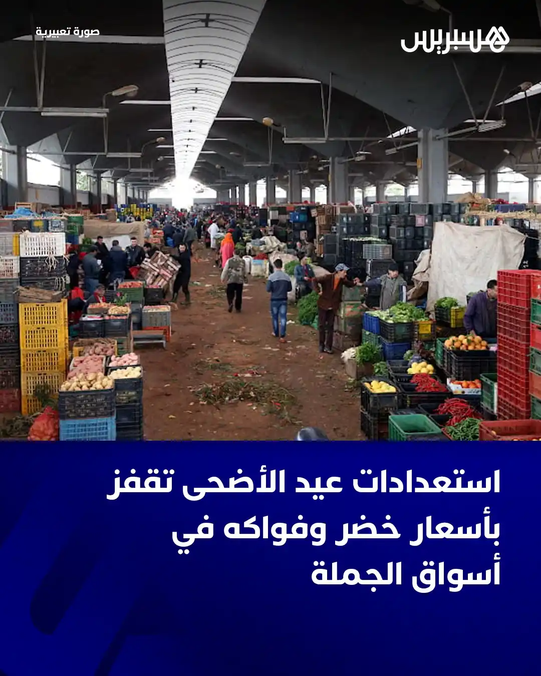 Image from Hespress - هسبريس: تعيش أسواق الجملة للخضر والفواكه بالمغرب، هذه الأيام، على وقع رواج ملح...