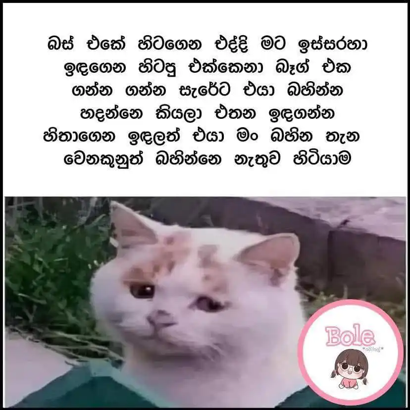 MEME WORLD || 🇱🇰 post