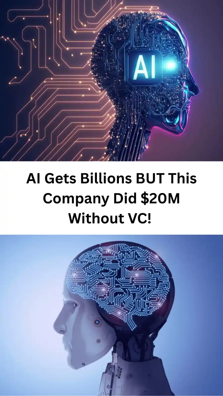 Image from 📚 Free Courses 📚: AI Gets Billions BUT This Company Did $20M Without VC! Youtube: https...