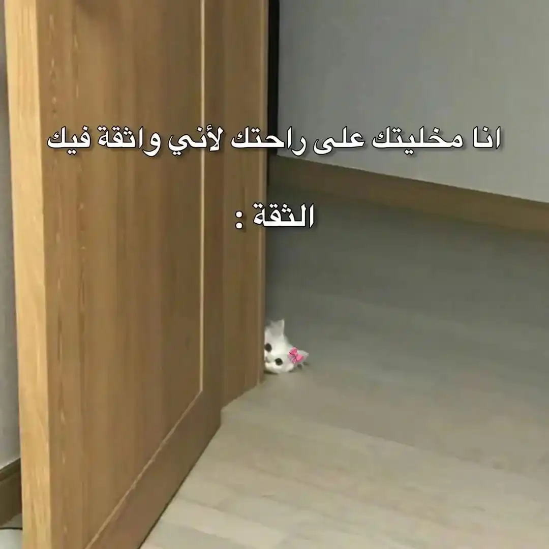 Image from PR ميمز 🤡👻 صور حالات إقتباس رسائل عبارات stickers حزينه نكت حب ملصقات تعارف غزل نرج: الثقه عنديا 😂😔...