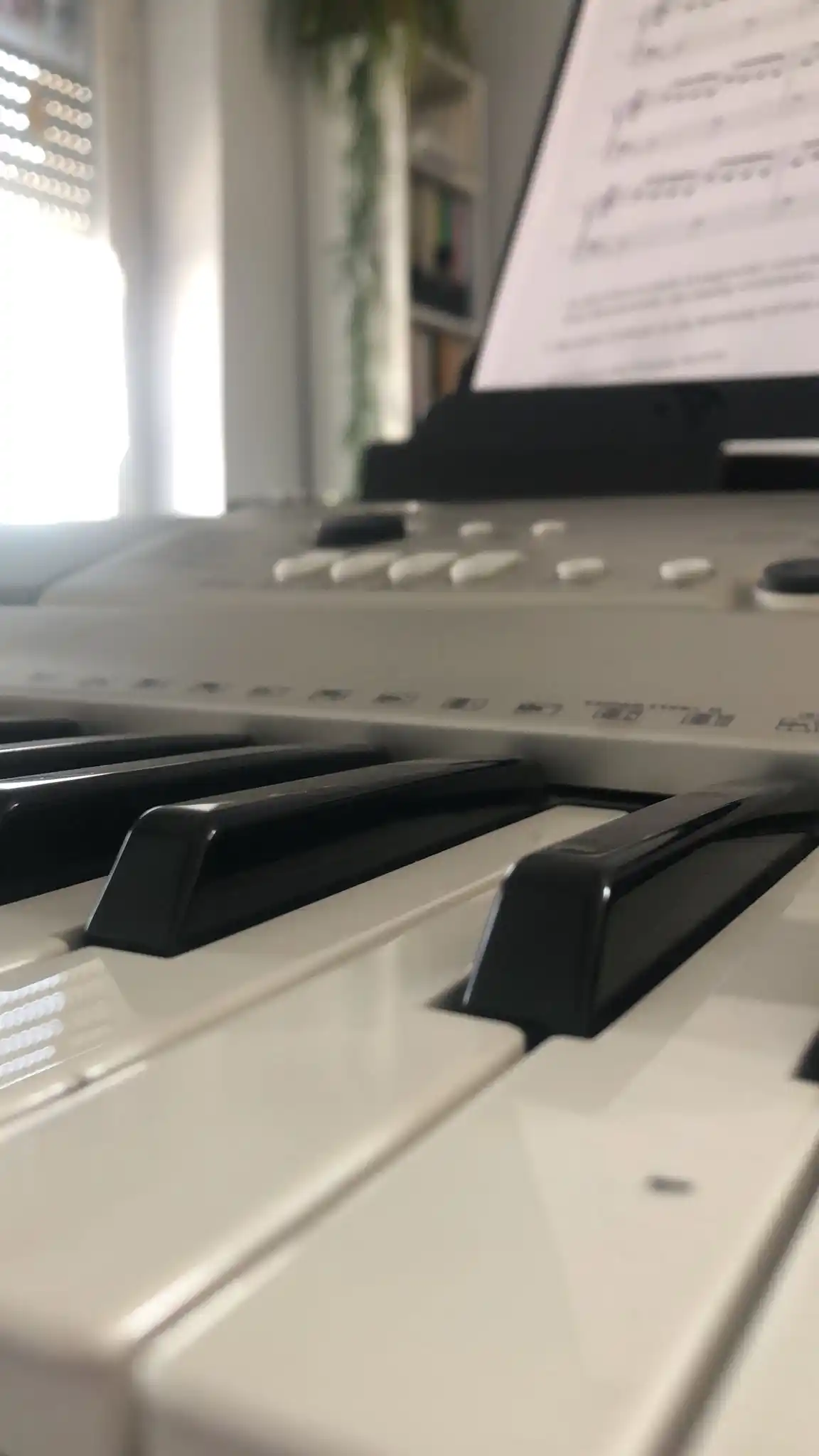 Image from ❥𝐌𝐲 ˡⁱᵗᵗˡᵉ 𝐋𝐢𝐟𝐞 💫💐: *Bin jtz beim Keyboard* 🫶🏻🍨 Gehe danach noch schnell in die Stadt,...