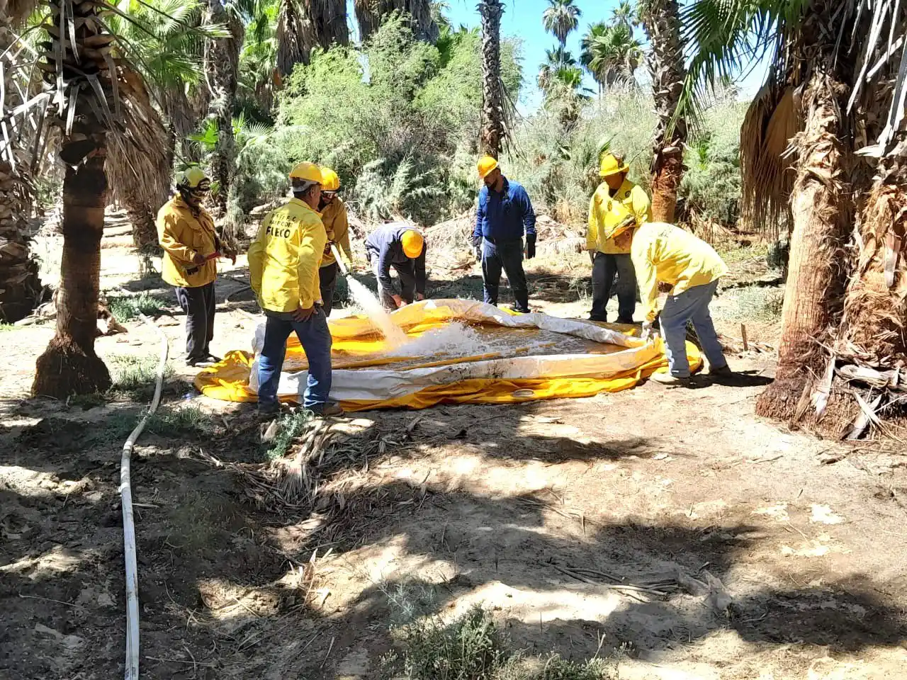 Image from Gobierno de Baja California Sur: 👩🏼🚒📍 *Brigadistas de _Santiago y Boca de la Sierra_ participaron ...