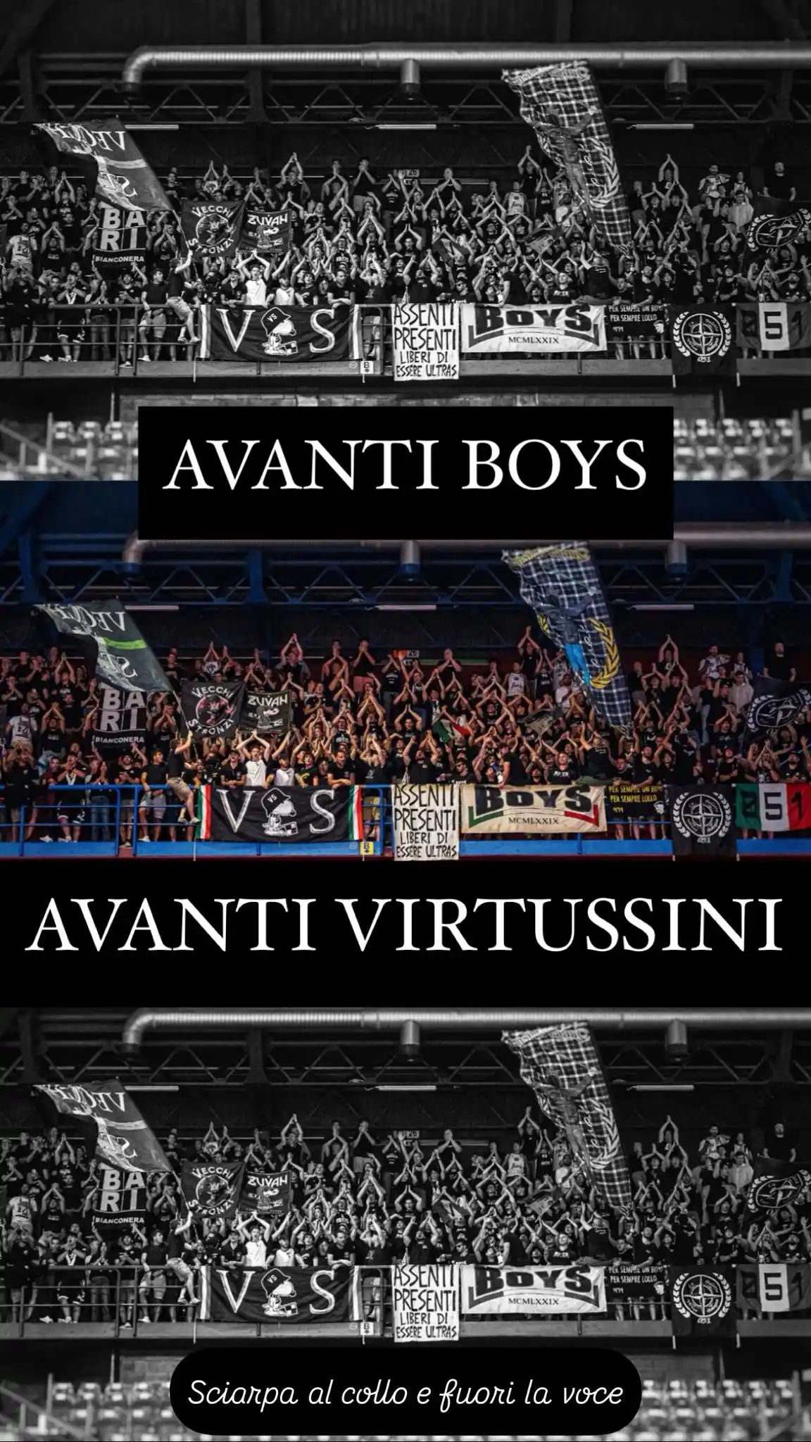 Image from BOYS 1979 Virtus Bologna: *G4 7 giugno ore 20:45* Acquista *ONLINE* il solo biglietto per gar...