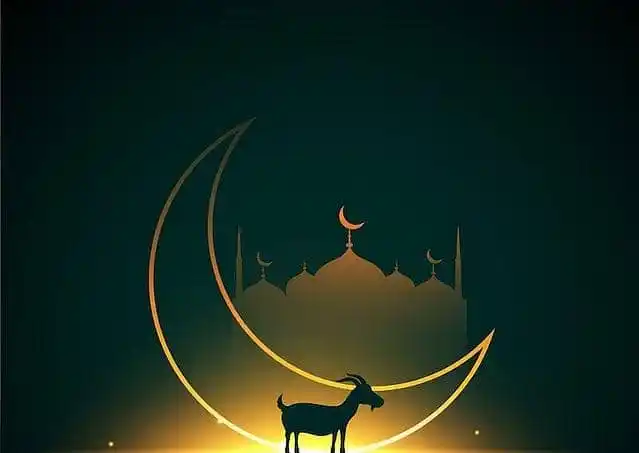 Muhammad Shakeel post