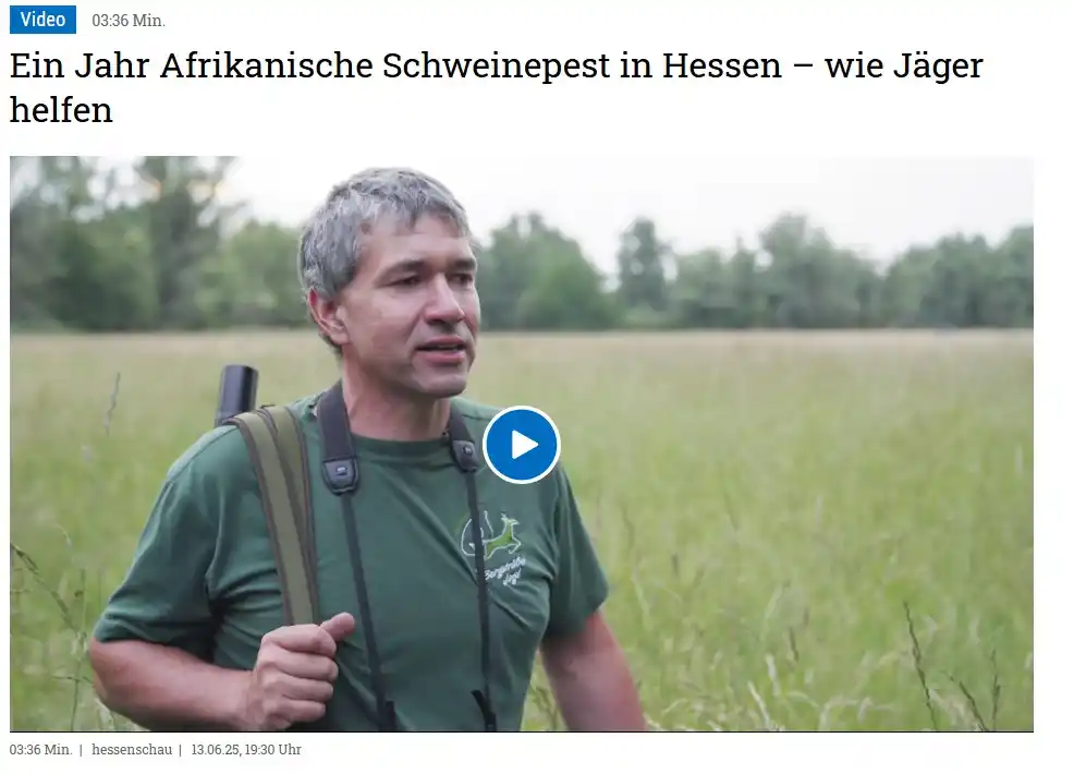 Image from Landesjagdverband Hessen e. V.: ⚠️ Hessenschau: Ein Jahr ASP in Hessen - wie Jäger helfen Jetzt koste...