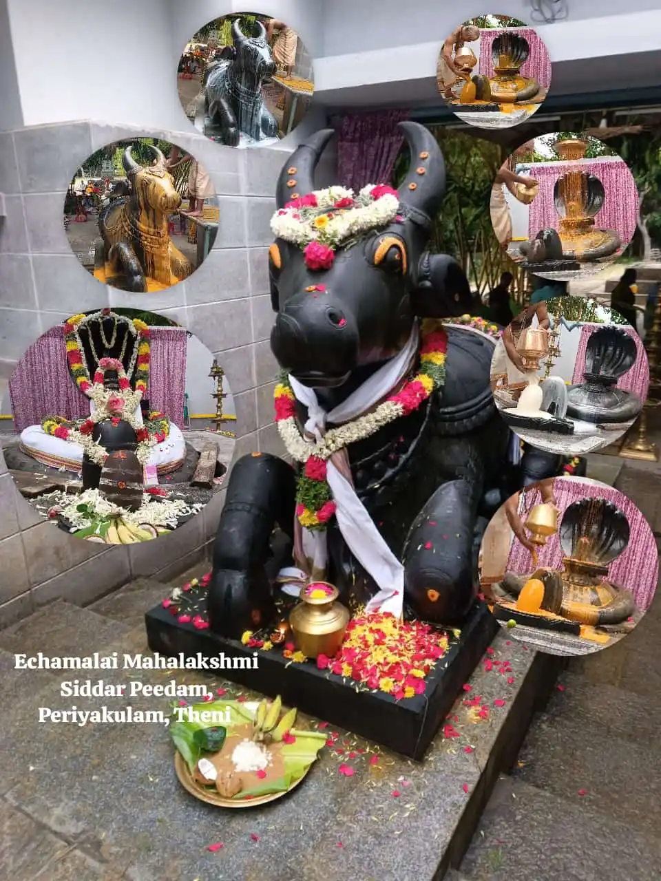 Mahasreerajhan A S post