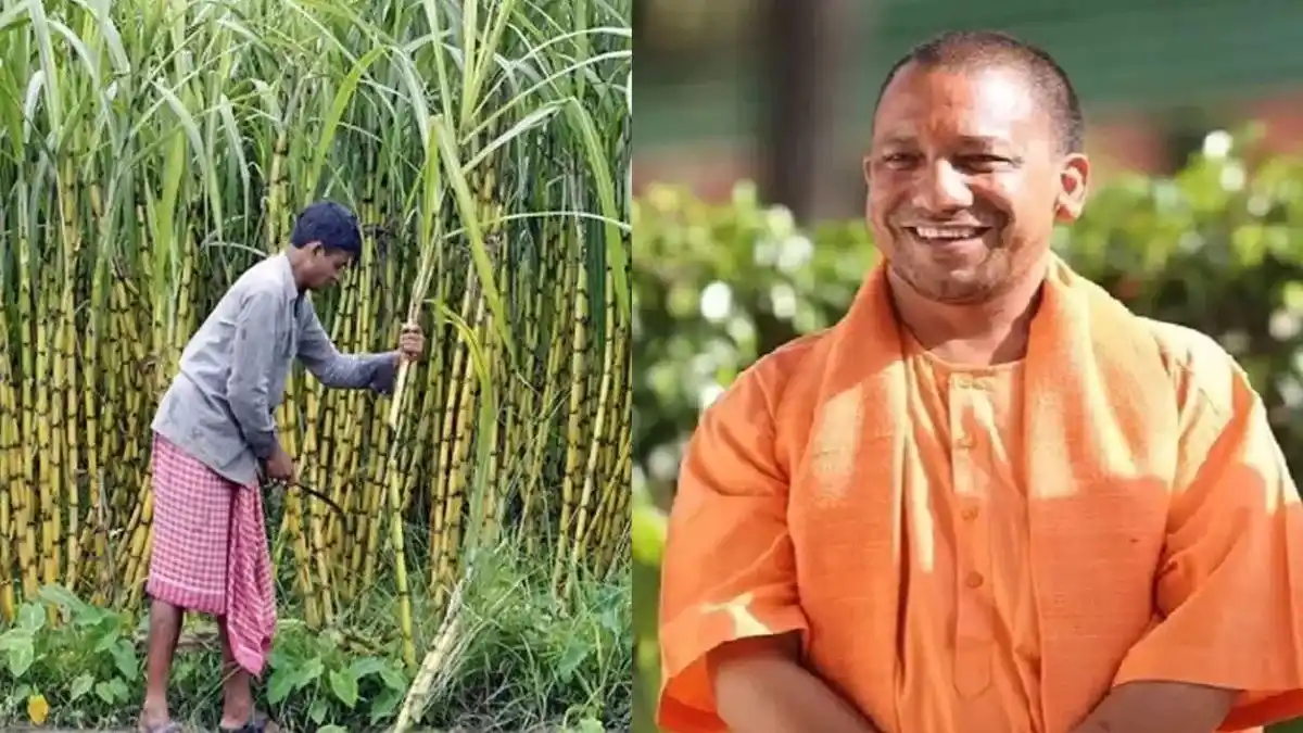 निष्पक्ष साहस post