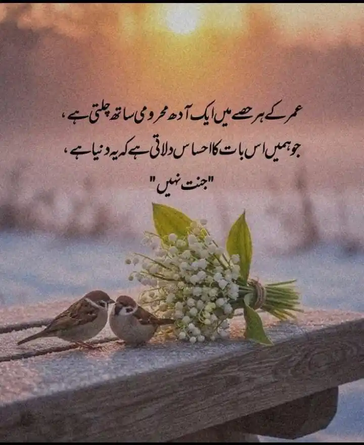 Image from Self Motivation♡: *مجھے ایسے لگتا جیسےاگر ہر چیز دنیا میں مل جاتی تو شاید جنت کی تمنا کو...
