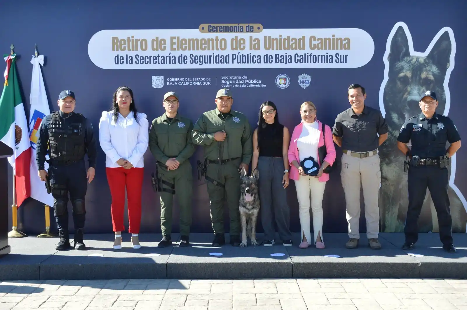 Image from Gobierno de Baja California Sur: Reconocen al canino *”Sagus” 🐕🦺✨ _tras concluir cinco años de servi...