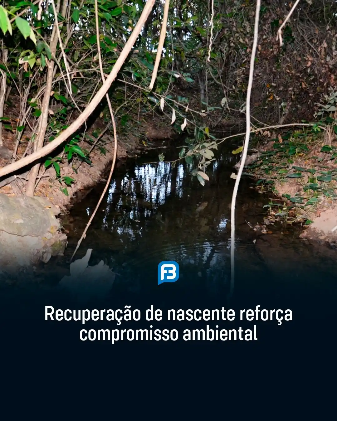 Image from Fala Barreiras, Portal de Notícias: *RECUPERAÇÃO DE NASCENTE REFORÇA COMPROMISSO AMBIENTAL* _Recuperação d...