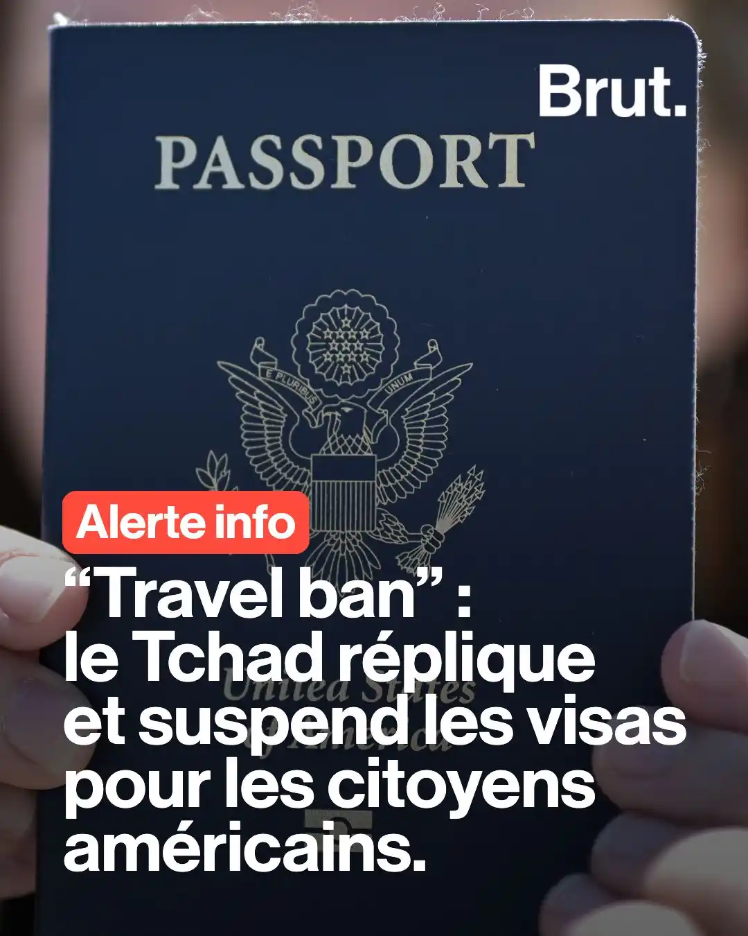 Image from Brut Afrique : 🇹🇩 Le Tchad a annoncé jeudi "suspendre l'octroi des visas aux citoye...