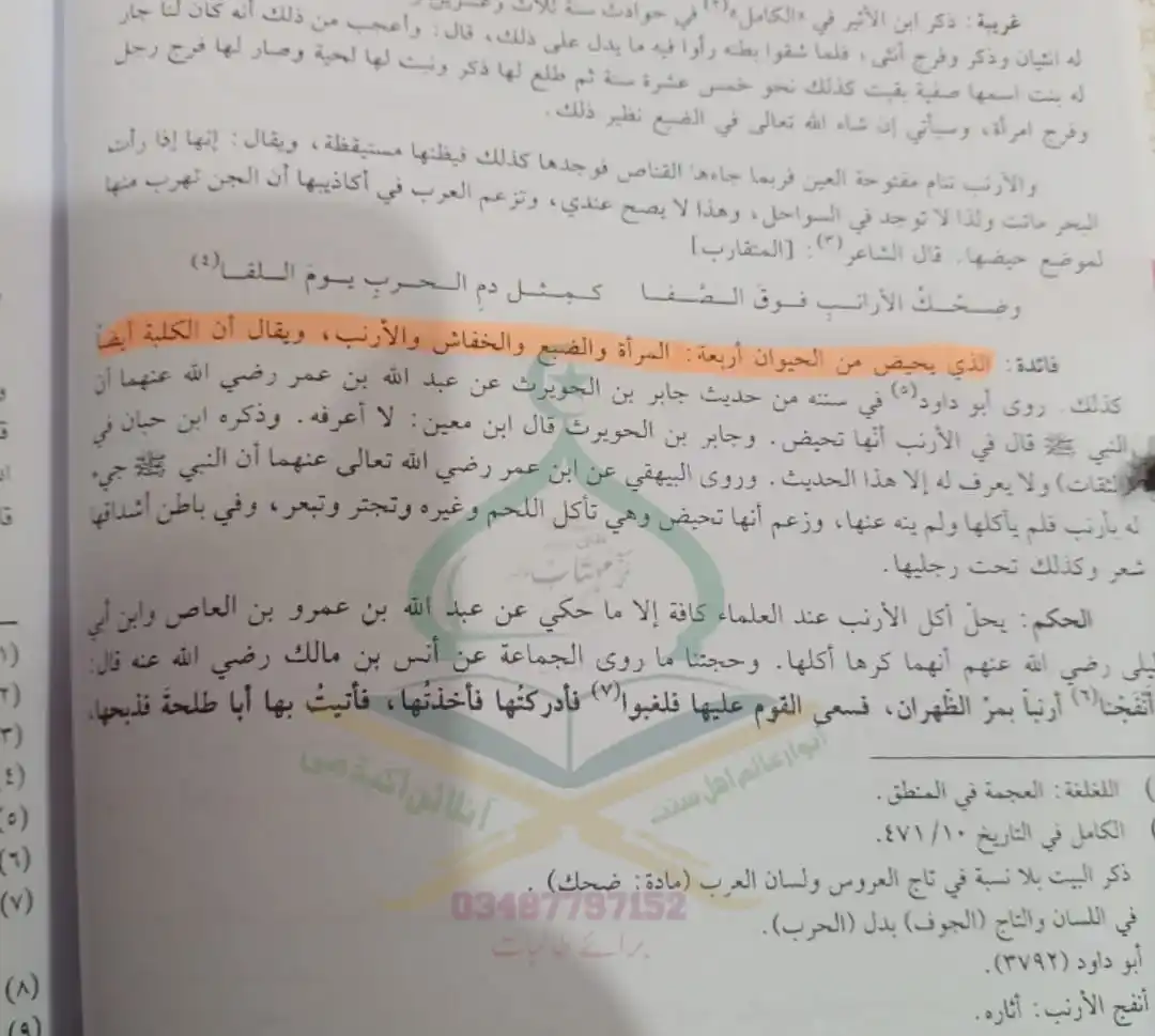 Image from انوارِ عالم: <a class="text-blue-500 hover:underline cursor-pointer" href="/hashtag...