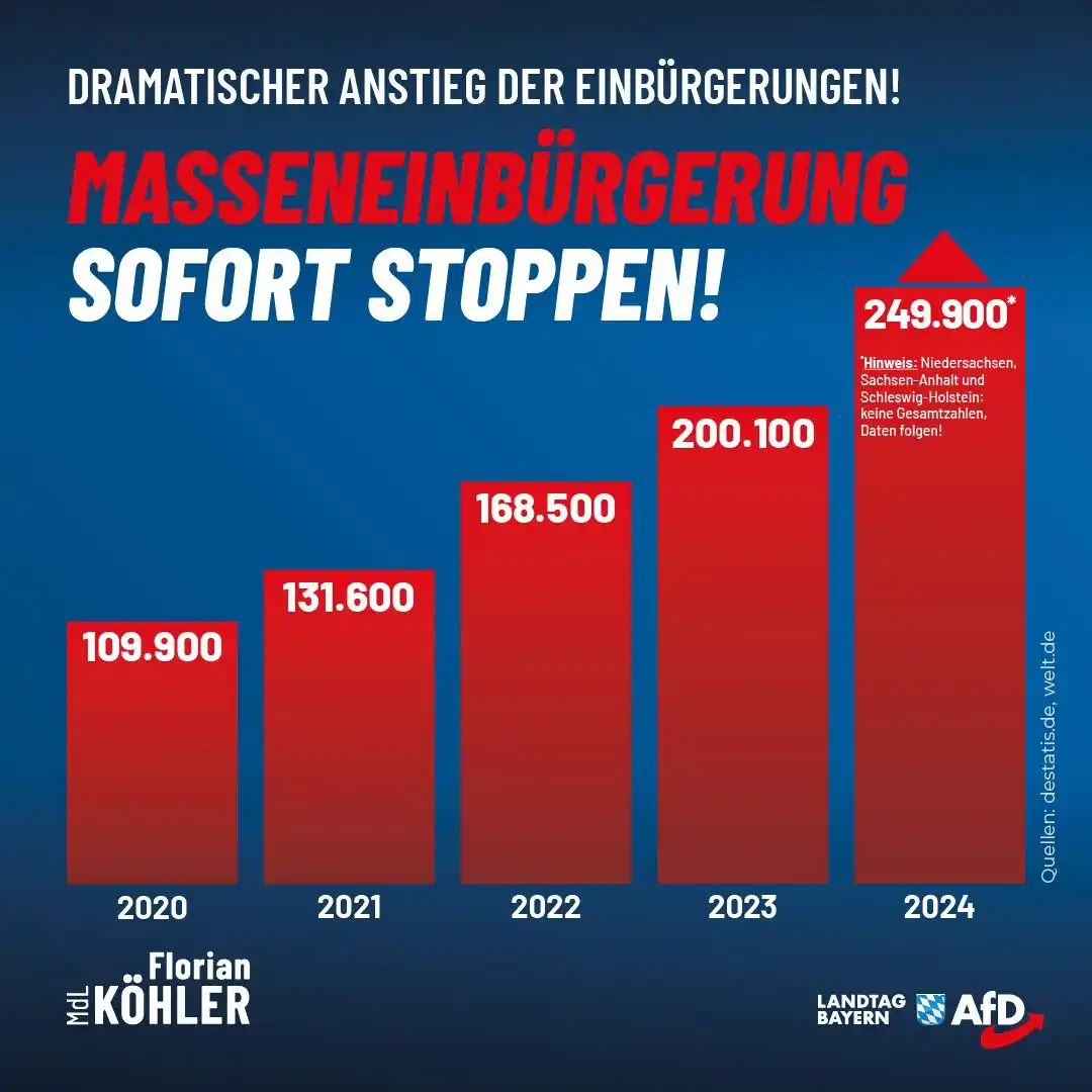 Image from AfD Bamberg: 2024 wurden fast 250.000 Migranten im Eiltempo eingebürgert – und die ...