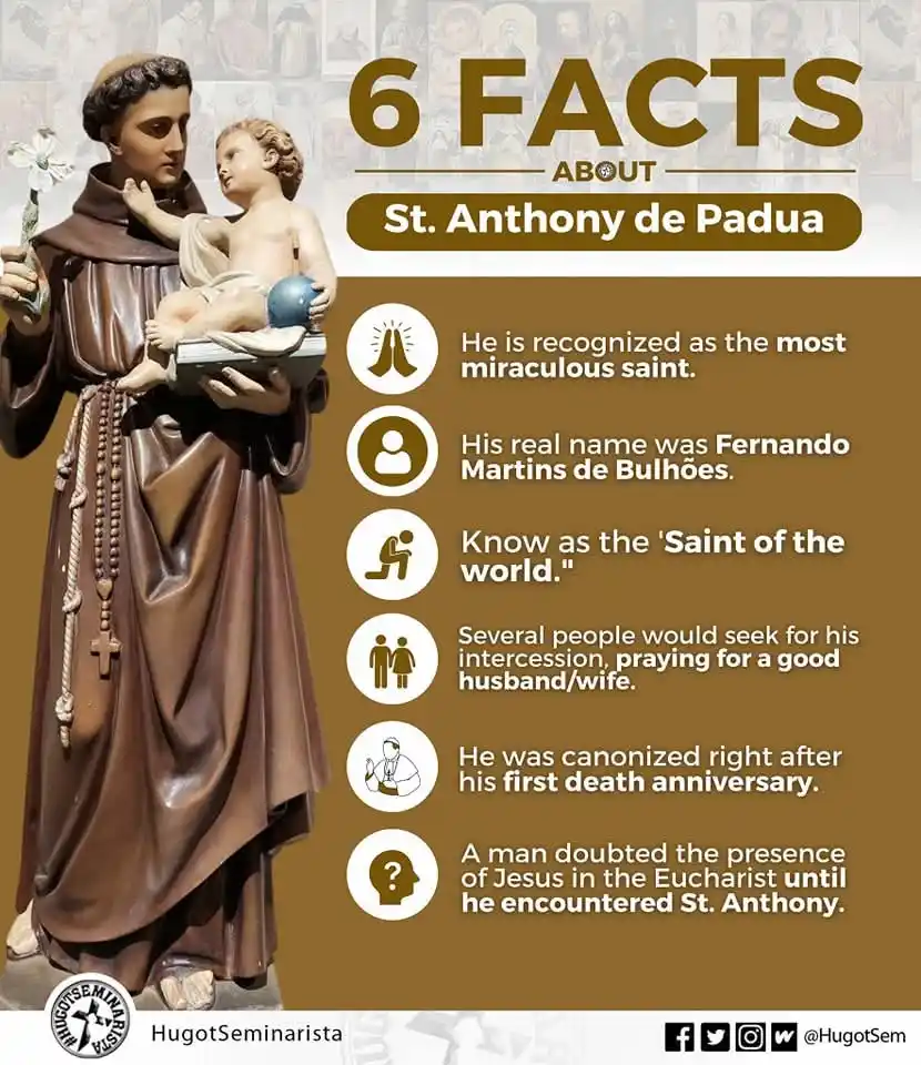 Image from CATHOLIC CONNECT 🇻🇦✝️☦️: *6 FACTS ABOUT ST. ANTHONY DE PADUA* June 13th is the memorial of Sai...