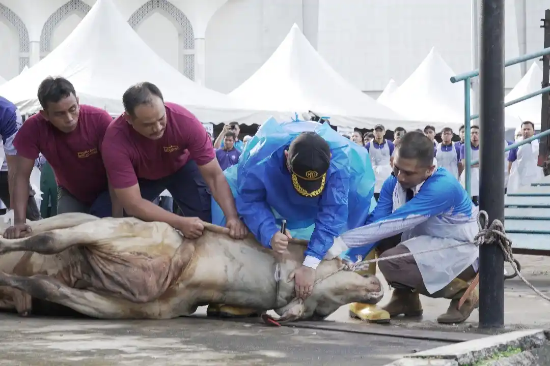 Image from Masjid Sultan Salahuddin Abdul Aziz Shah: Alhamdulillah, Majlis Ibadah Korban sempena 10 Zulhijjah 1446H telah b...
