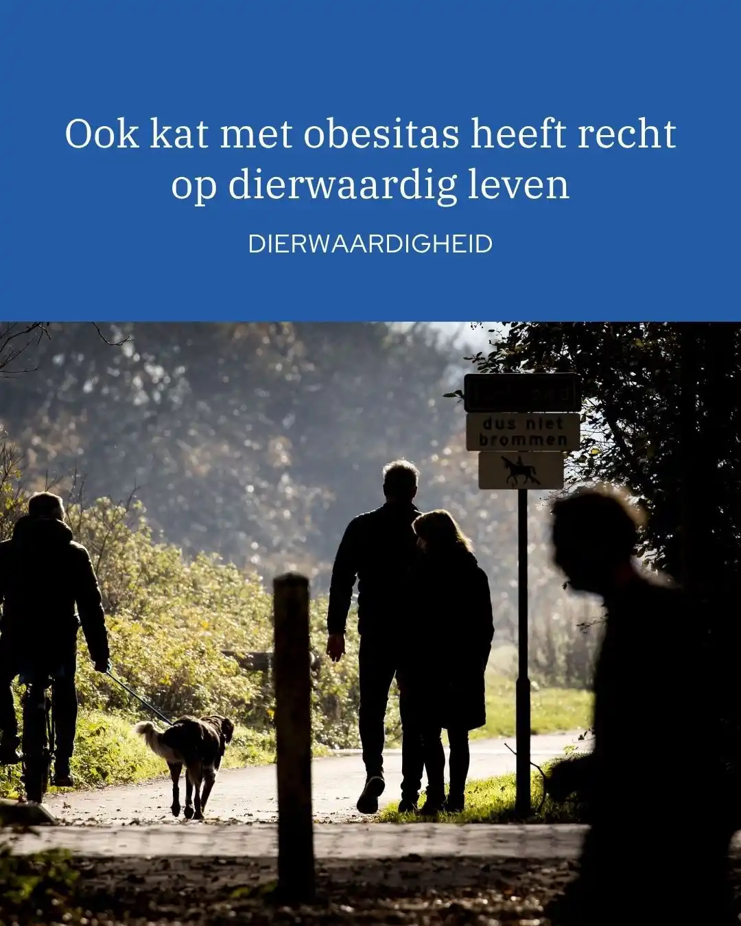 Image from Reformatorisch Dagblad: Consumenten maken zich soms terecht druk over het leven van een koe en...