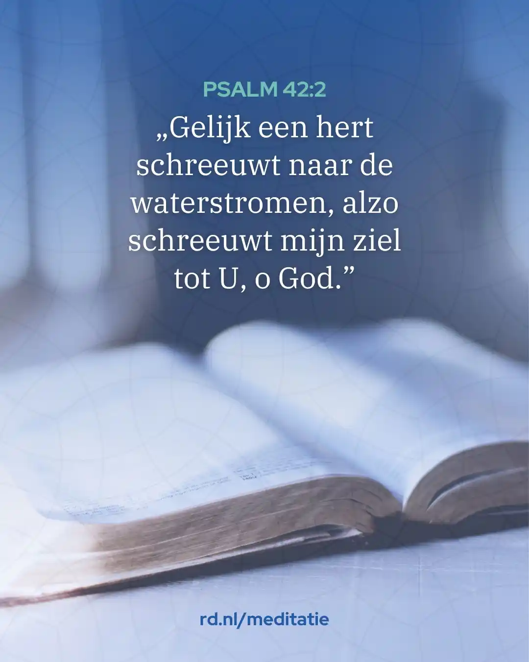 Image from Reformatorisch Dagblad: „De honger en dorst naar God en Christus die de Geest in een zondaar w...